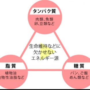 三大栄養素